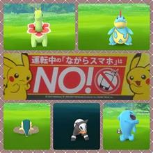 雑魚モンばっか！