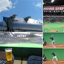 野球観戦（北海道日本ハムVS埼玉西武）