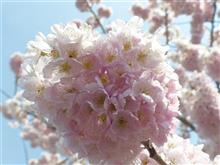 3月30日木曜日の日記 北チョーセン原子力花火 3月30日木曜日の日記 北チョーセン原子力花火