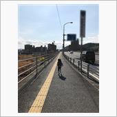デート