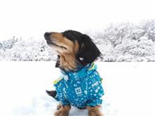 4月なのに雪・・・春だよね？（3月末からのお話し…）