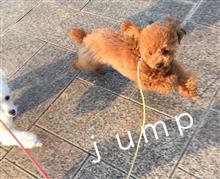 JUMP ❗️ JUMP ❗️