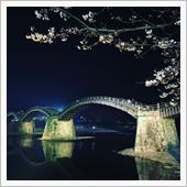 夜桜