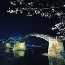 夜桜