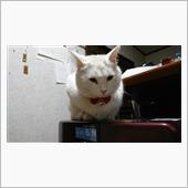 ようやく…