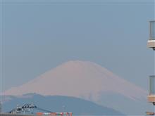 ４月４日火曜日の日記　シリアのアサド