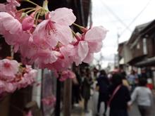 桜の季節に吉野山 桜の季節に吉野山