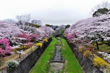 ららぽーと立川立飛＆昭和記念公園へ