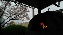 お花見ＢＢＱ！