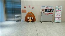 Ｒｏｏｍ　Ａｙａｋａに行ってきました。