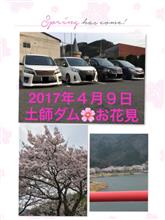 お花見🌸 お花見🌸
