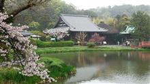 春雨の中、金沢八景付近をおさんぽ♪ 春雨の中、金沢八景付近をおさんぽ♪