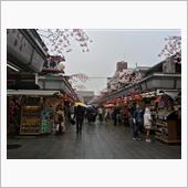 東京観光･･･その1