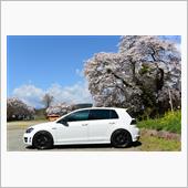【 桜 ツーリング 】 春の ...
