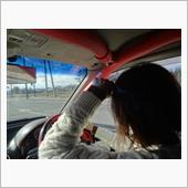 人が自分の車を運転するのは変 ...