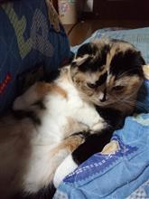刺激は大事♪ヽ(&#180;▽｀)/
