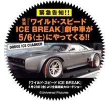5月6日（土）本物のワイスピカーが愛車フェスに！！！
