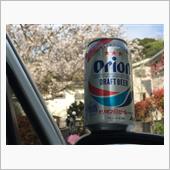 自宅前の桜と