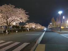 ４月１２日水曜日の日記　国際免許