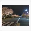 ４月１２日水曜日の日記　国際免許