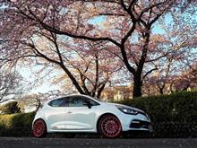 2017年の桜と富士山とゆずさんと…