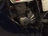 新しい相棒が仲間入り　ﾖﾛｽｸ(^ｰﾟ)ﾉ