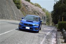 そろそろ1年が経過・・・ そろそろ1年が経過・・・