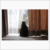 天気が良すぎ～Ｗ