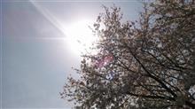 確かに春の次は夏 確かに春の次は夏