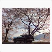 １７年桜弾丸どらいぶ　第２回戦