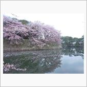 ヴィヴィオ春の西日本オフ