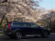 ひとりごと・・・・桜・さくら・サクラ・Sakura三昧 ひとりごと・・・・桜・さくら・サクラ・Sakura三昧