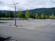 月極駐車場にて・・・・。 月極駐車場にて・・・・。