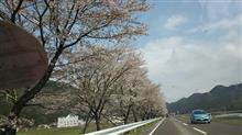 花見&道の駅巡り(その24)岐阜&城巡り 花見&道の駅巡り(その24)岐阜&城巡り