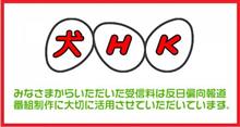 来訪。（魔境物語）