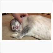 当面の諸々。(*^^*)