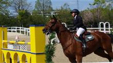 三木ホースランド馬術大会