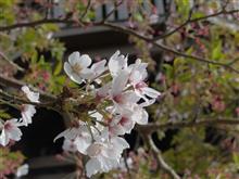 ４月２０日木曜日の日記　３億８４００万円強奪事件