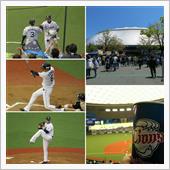 野球観戦（埼玉西武VS北海道 ...