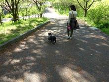 ワンコとプラプラと・・・