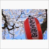 散りはじめの桜を撮りに行って ...