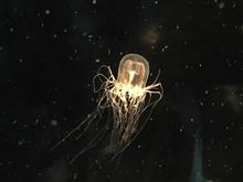MOTHERにいたような
