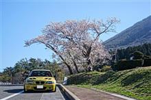 ヒッサビサの春の大山&#215;カラシニコフ de ゼンカイBNY♪ 