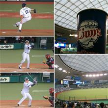 野球観戦（埼玉西武VS千葉ロッテ）