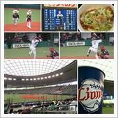 野球観戦（埼玉西武VS千葉ロ ...