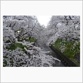 四月も終わり