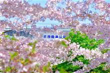 久しぶりのブログになります(T_T) 久しぶりのブログになります(T_T)