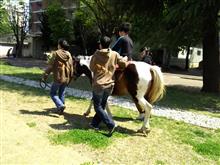 体験 足が悪くっても乗馬できるんだ。 体験 足が悪くっても乗馬できるんだ。