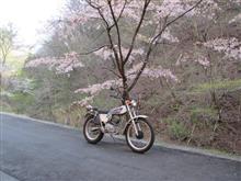 ジッと我慢！（カウぱ～では有馬温泉^^）
