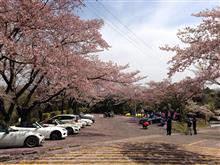 今更ですが…おはくら4月(`･ω･&#180;)ゞ